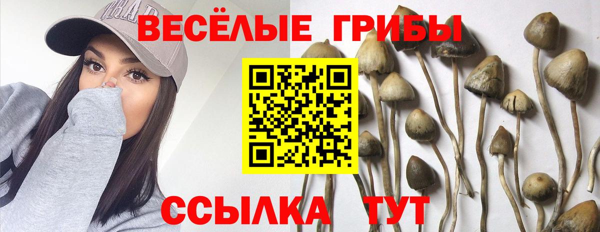 наркотики  Вход с VPN  Нарткала  Псилоцибиновые грибы Psilocybe  Псилоцибиновые грибы MAGIC MUSHROOMS 